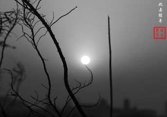 _MG_9248.JPG