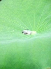 DSCF0668(1)