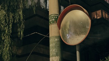 1000029313