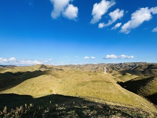 A089719F-D6AD-4CEC-90D0-72B6D10D50F3/L0/001