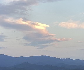 77970316-8598-4EEF-8987-1C739B643C3E/L0/001