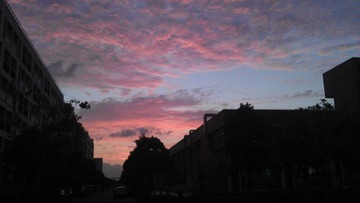 IMAG0311.jpg