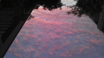 IMAG0312.jpg