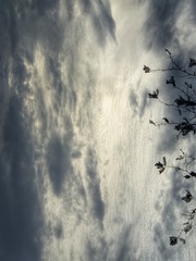 1000010163
