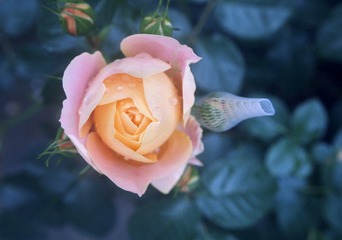 D65B2579-FE6F-4B14-B268-F07A2DC16999/L0/001