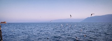 E597A188-1EEB-4AC4-9B17-4E1A2E836C1B/L0/001