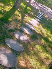 1000000447