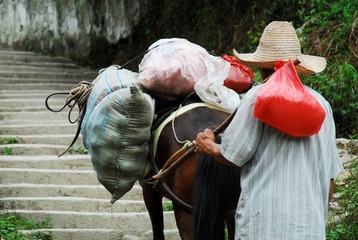 DSC_0032.JPG