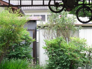 RIMG0360.JPG