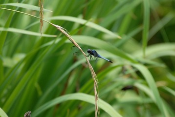 DSC_4693.JPG