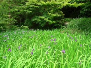 RIMG0038.JPG