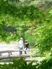 RIMG0088.JPG