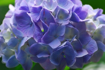 DSC_4533.JPG