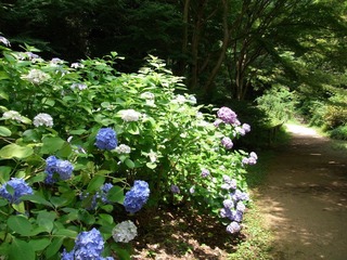 RIMG0042.JPG