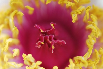 DSC_0011.JPG