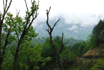 DSC_4326.JPG
