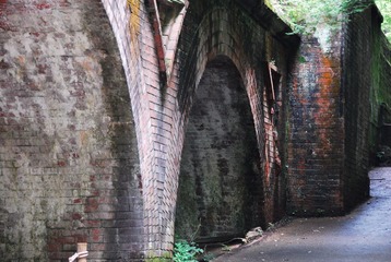 DSC_0050.JPG