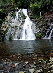 DSC_9910.jpg