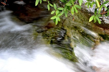 DSC_9945.JPG