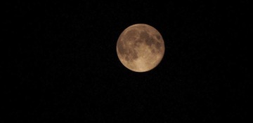 DSC_0490.JPG