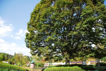 DSC_0014.JPG