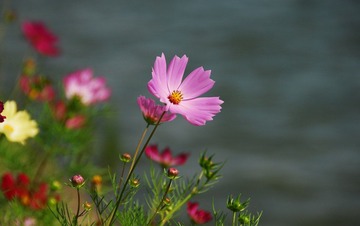 DSC_0112.JPG