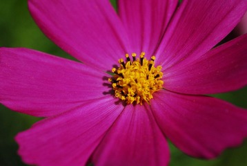 DSC_0122.JPG