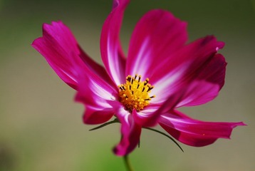 DSC_0137.JPG