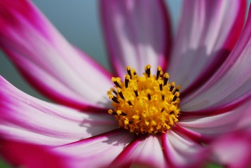 DSC_0164.JPG