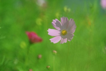 DSC_0161.JPG
