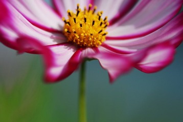 DSC_0167.JPG