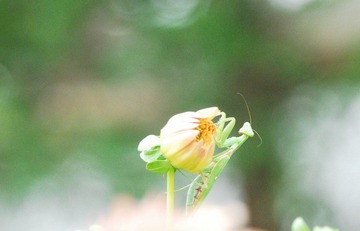 DSC_0332.JPG