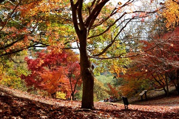 DSC_2244.JPG