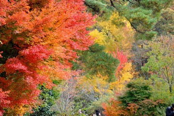 DSC_2265.JPG