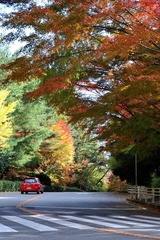 DSC_2414.JPG