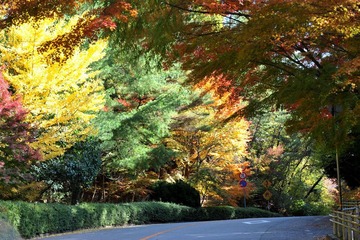 DSC_2453.JPG