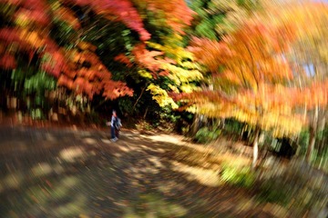 DSC_1896.JPG