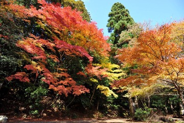DSC_1901.JPG