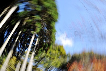 DSC_2132.JPG