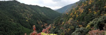 DSC_1943.JPG