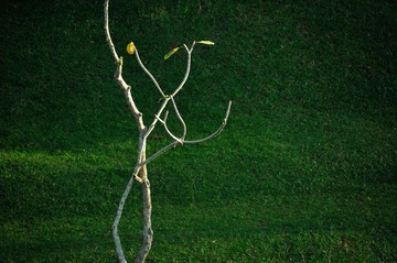 DSC_6776.JPG