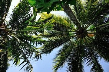 DSC_6816.JPG
