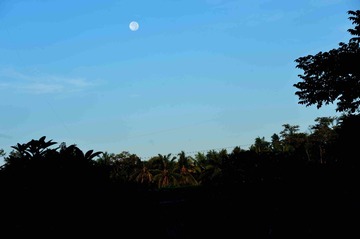 DSC_7026.jpg