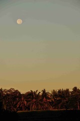 DSC_7030.jpg