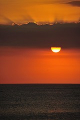 DSC_7800.JPG