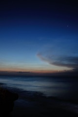 DSC_7849.JPG