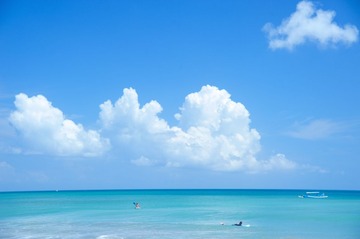 DSC_8045.JPG