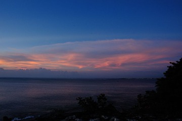 DSC_8121.JPG
