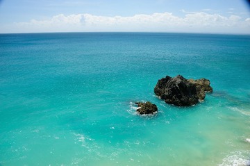 DSC_8225.JPG