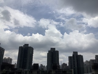 81CDBD41-D5DC-472C-80CE-8017B7A6A79B/L0/001